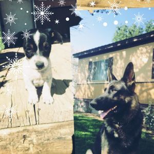 Meet your Posher, Victorya